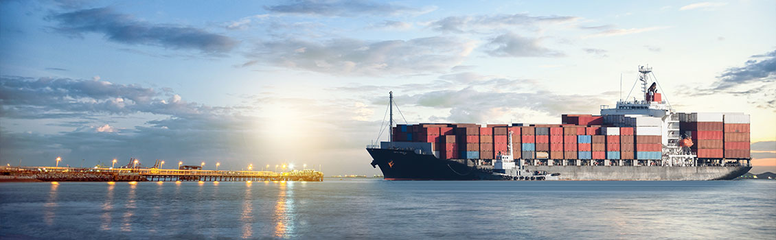 CSE logistic
